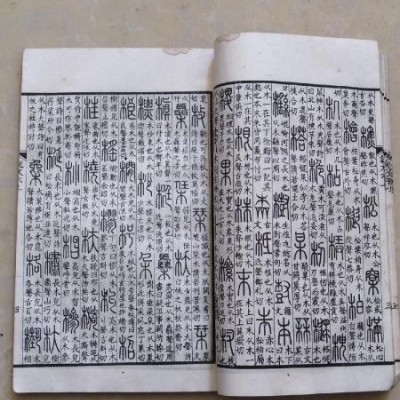 晚清民国白纸精印說文引經異字说文五下甲骨文讲说 甲骨文翻印字典390