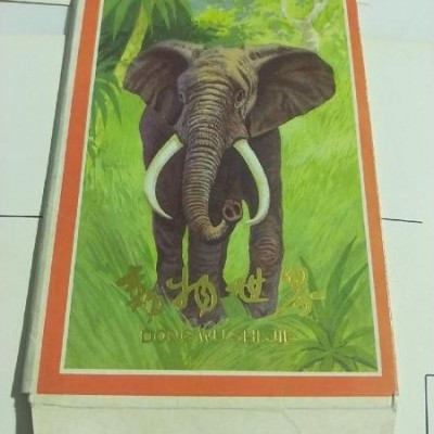 动物世界 油画版 明信片（现存7张）