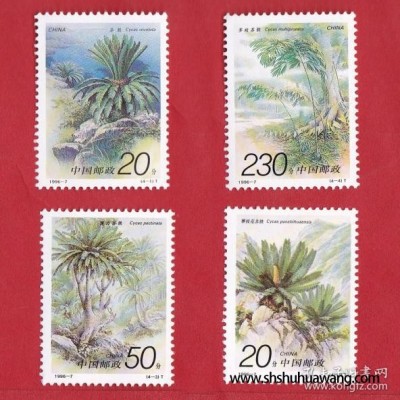 1996-7苏铁(T)邮票
