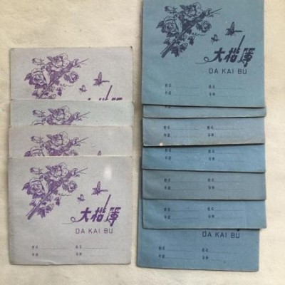 4451 旧空白大楷簿 共11册 共220张