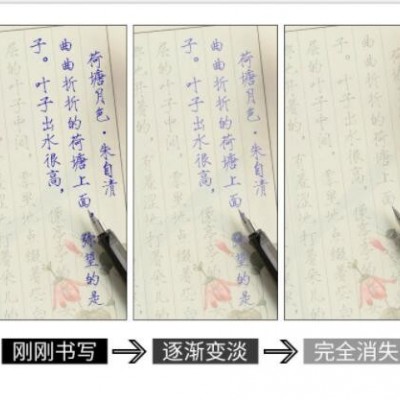 瘦金体钢笔字帖套装硬笔书法入门学生成人速成临摹描红毛笔练字帖