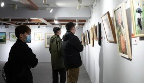 展期三天，免费开放！四川省青年教师书画作品展开幕