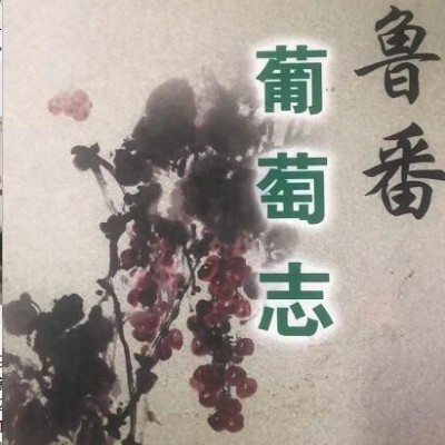 《吐鲁番葡萄志》